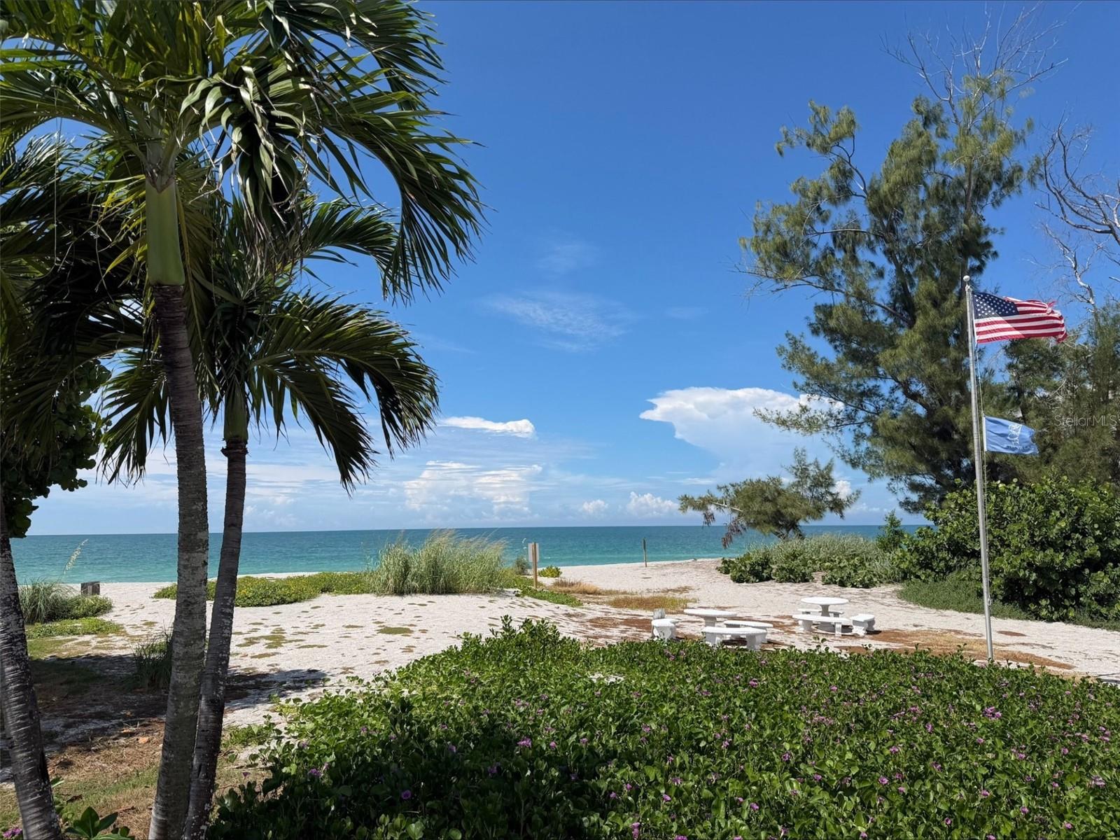 1585 TARPON CENTER DR #21 — photo 39