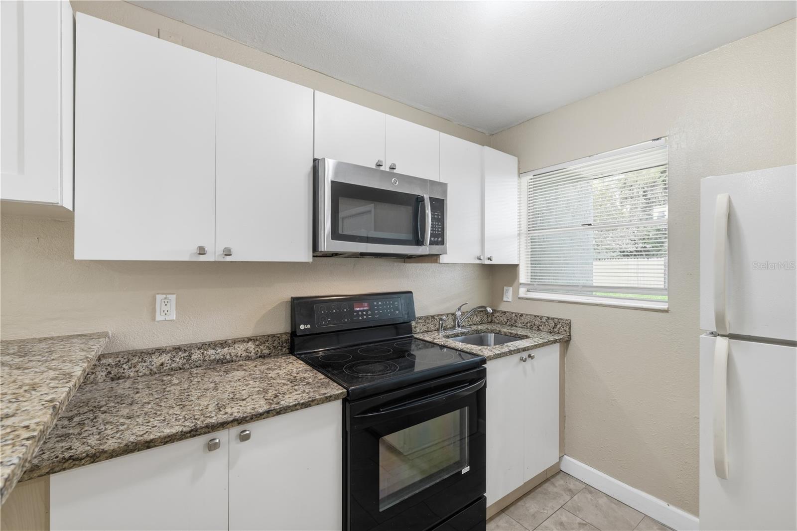 1009 E HOLLAND AVE — photo 6