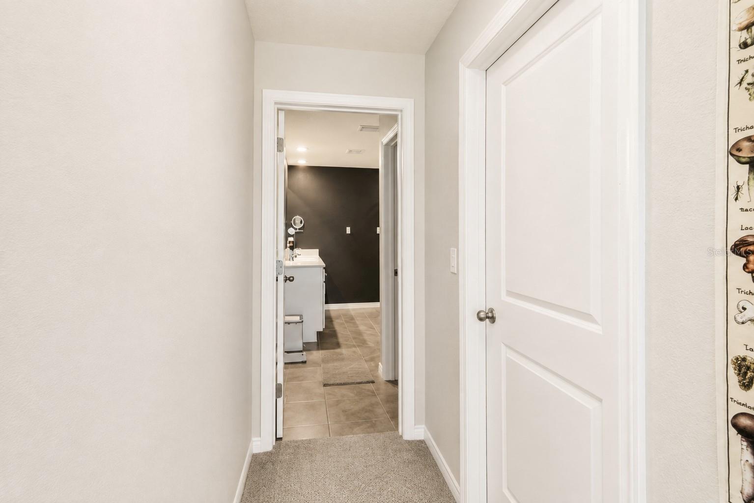 37093 SHARKS EYE LN — photo 9