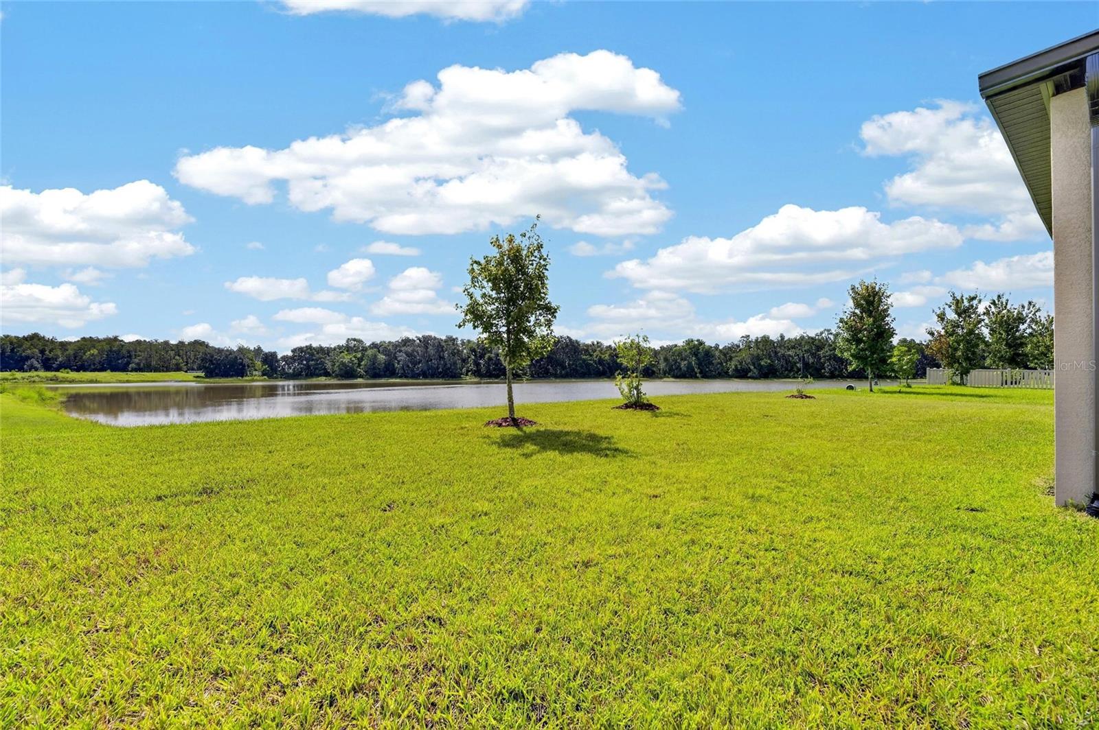 10845 SUNDRIFT DR — photo 36