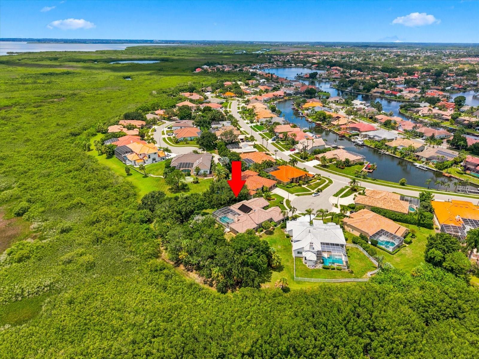 9802 MAKO CT — photo 78