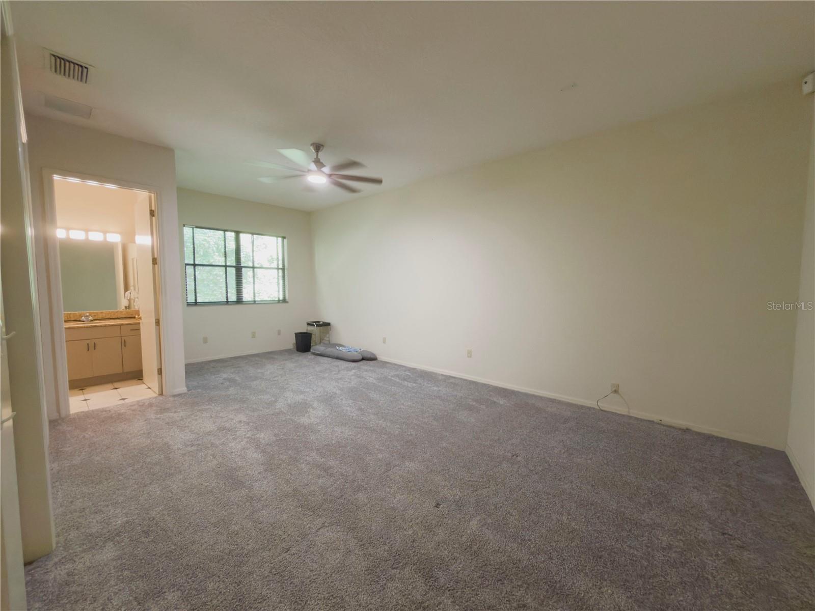 11708 ORANGE GROVE DR — photo 38