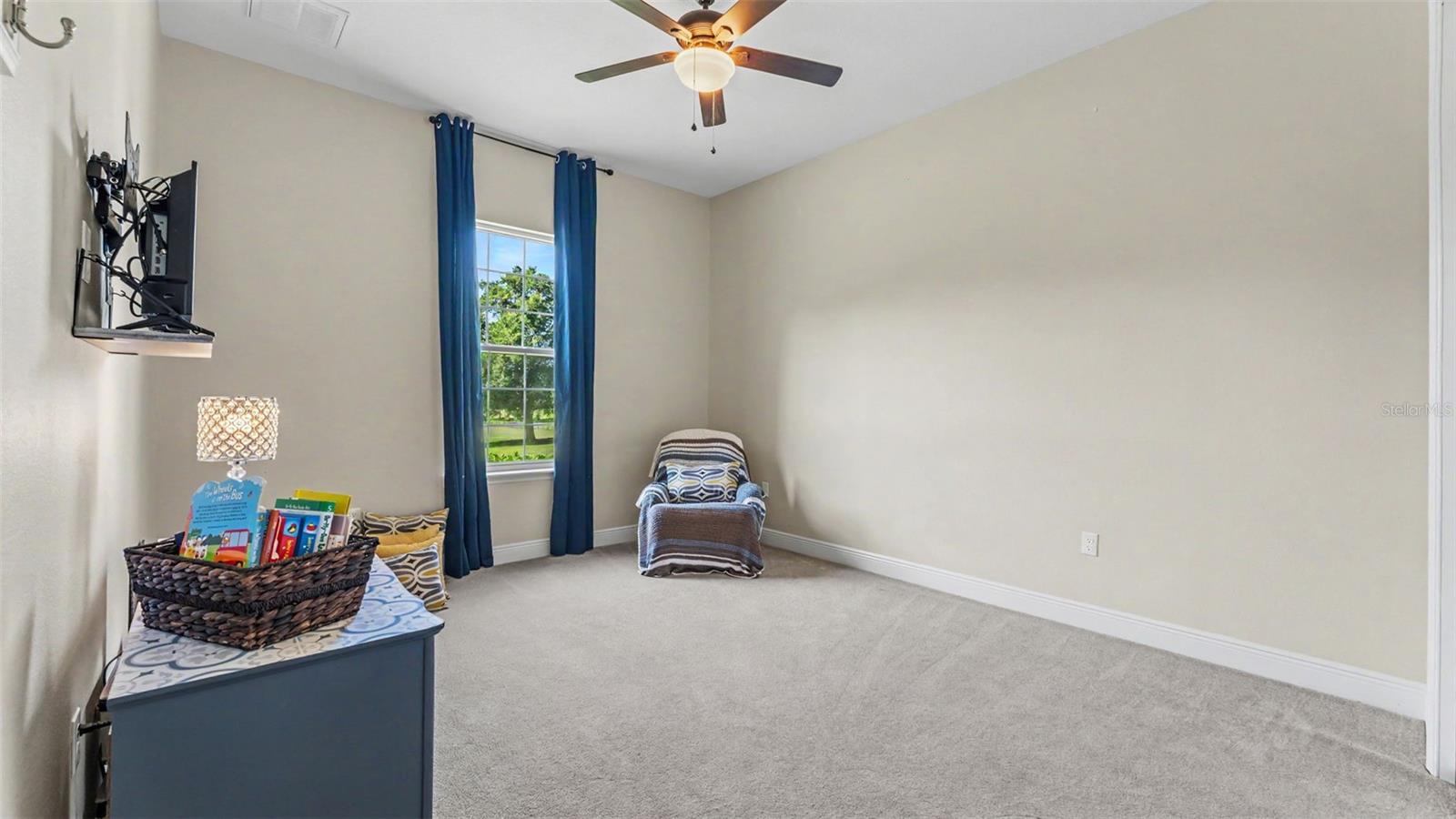 36431 FLORRIE MAE LN — photo 34