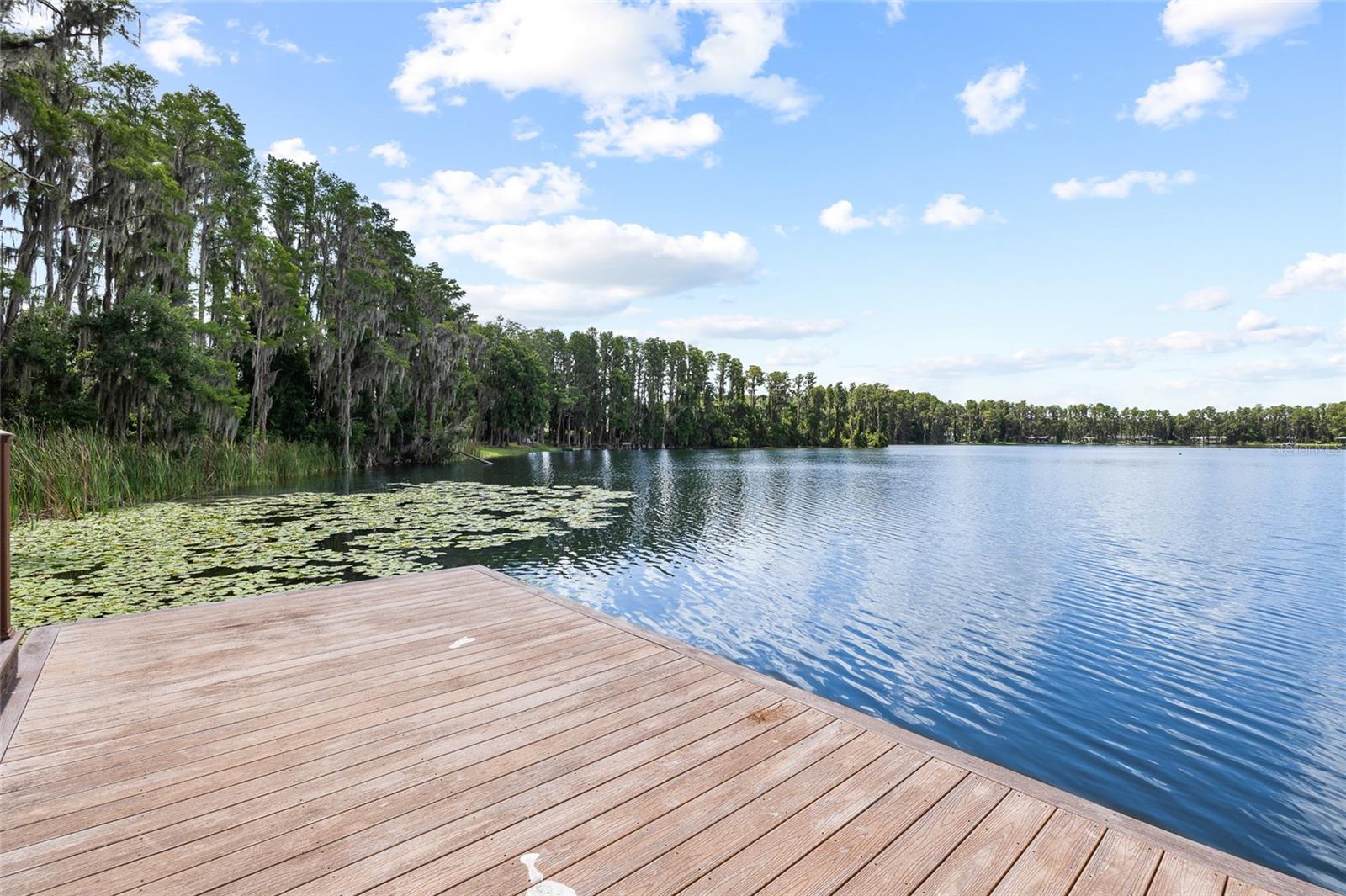 6800 WISTERIA LOOP — photo 83