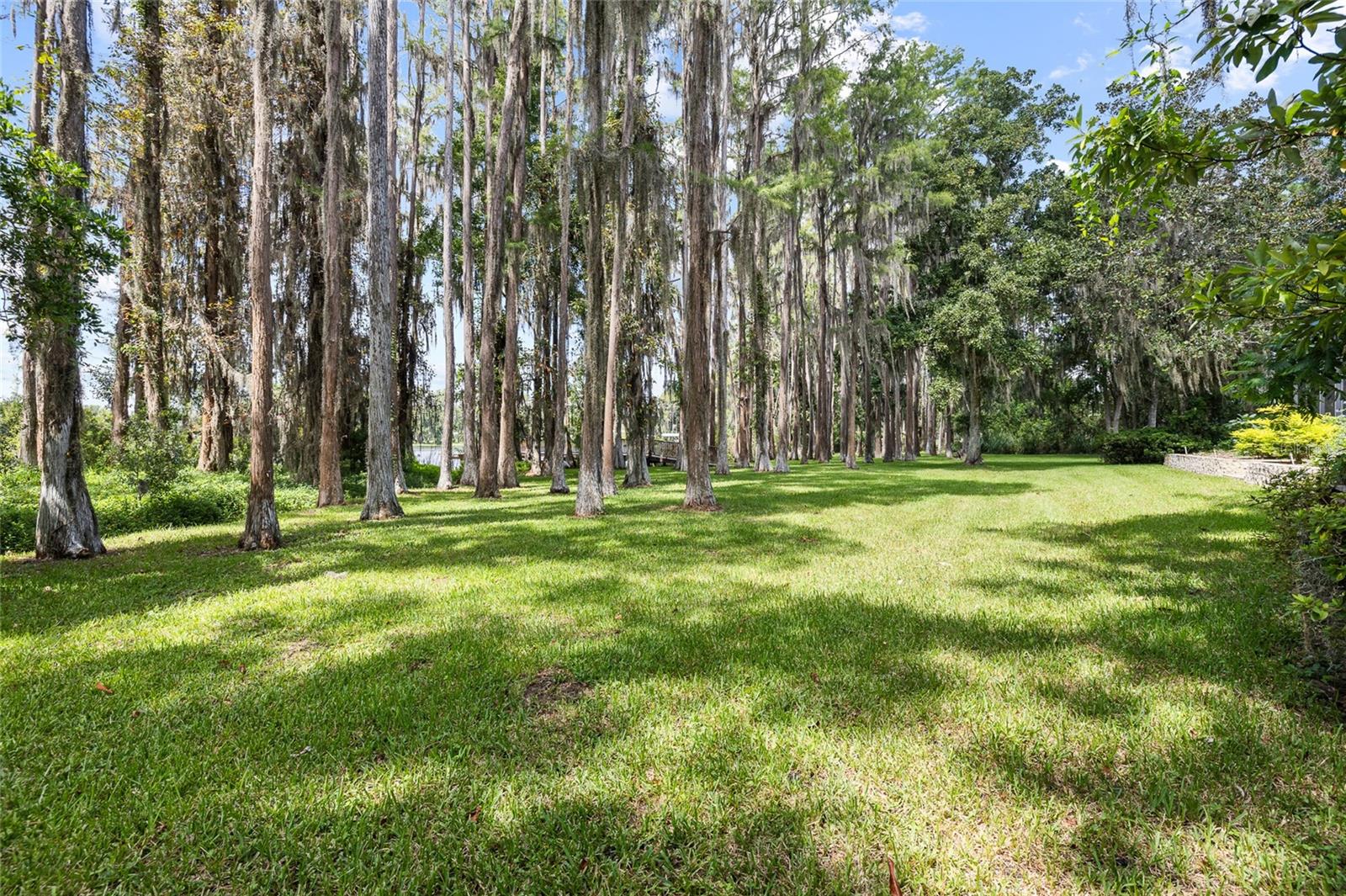 6800 WISTERIA LOOP — photo 77