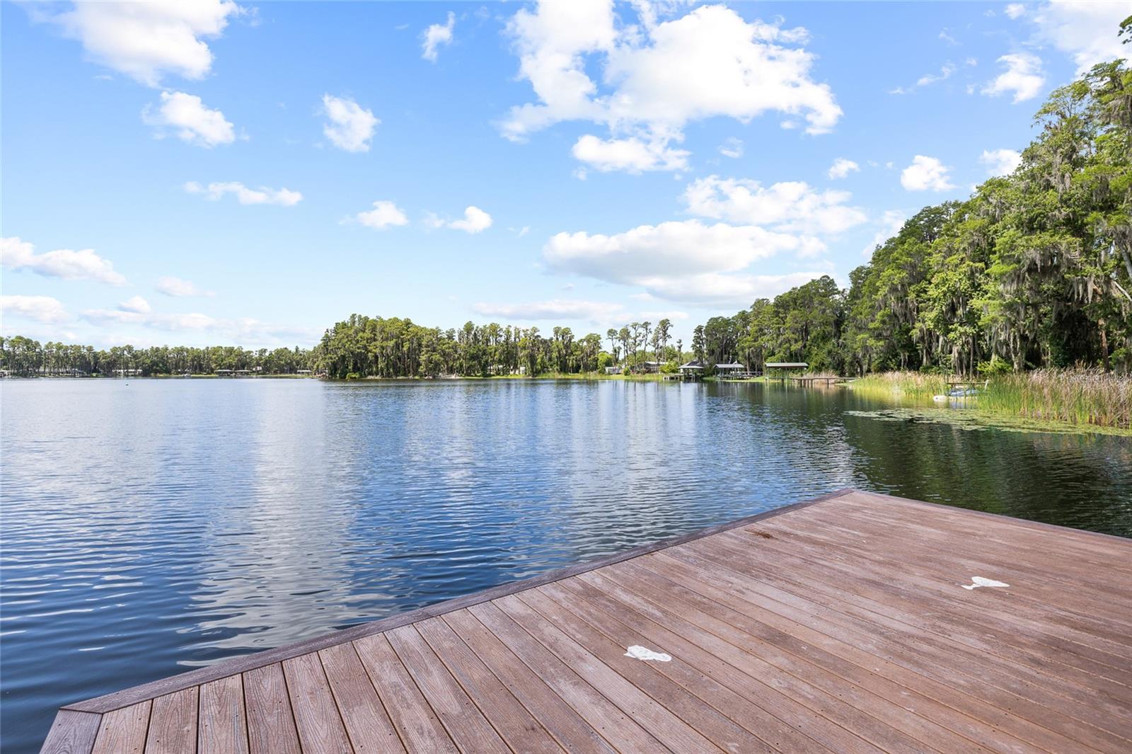 6800 WISTERIA LOOP — photo 82