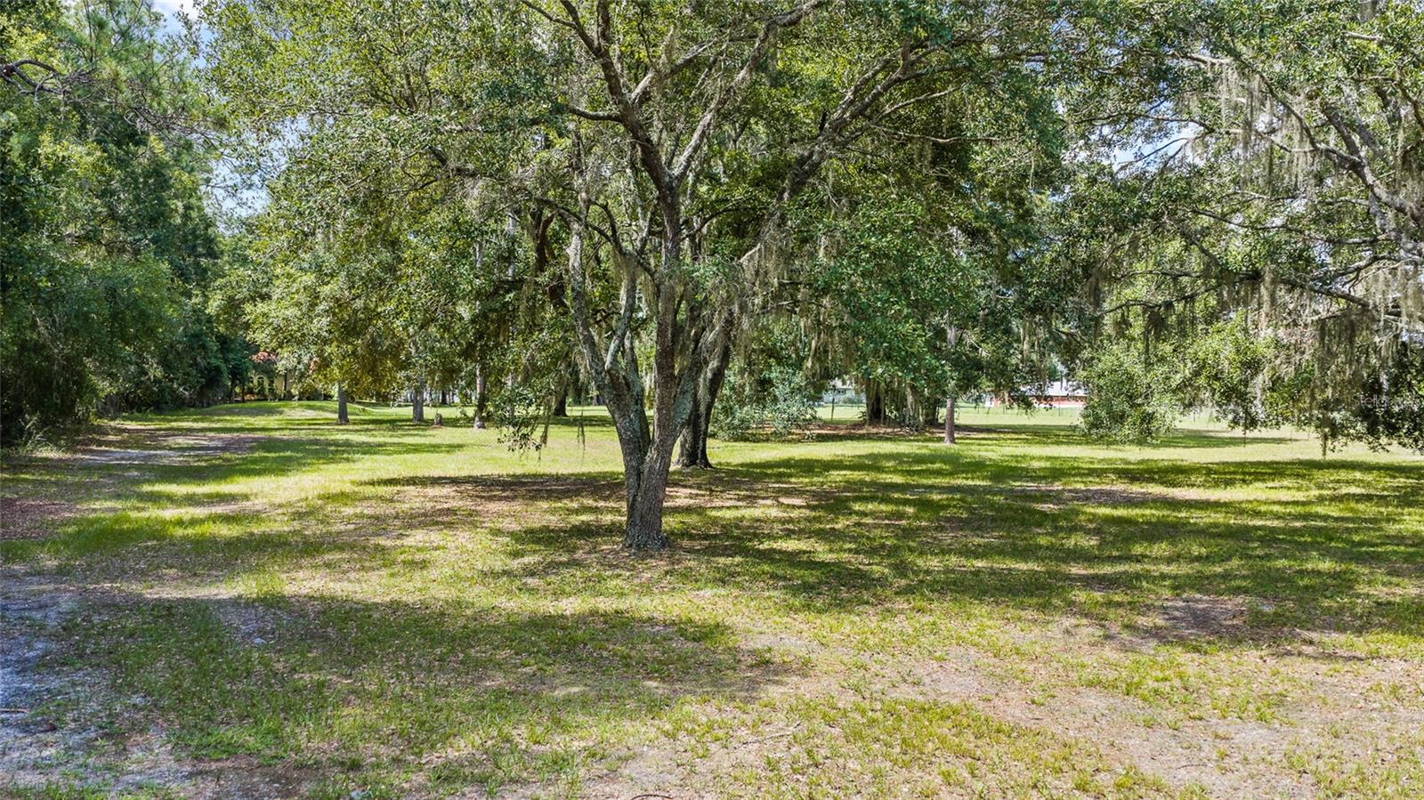 6800 WISTERIA LOOP — photo 89