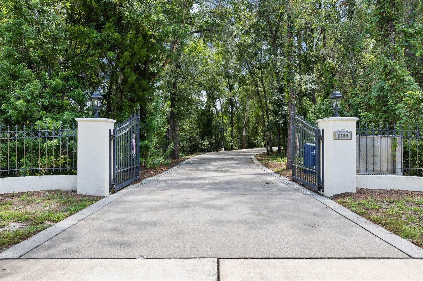 6800 WISTERIA LOOP — photo 4