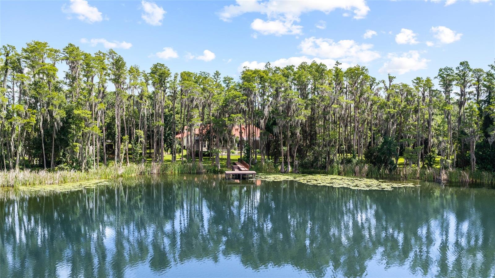 6800 WISTERIA LOOP — photo 90