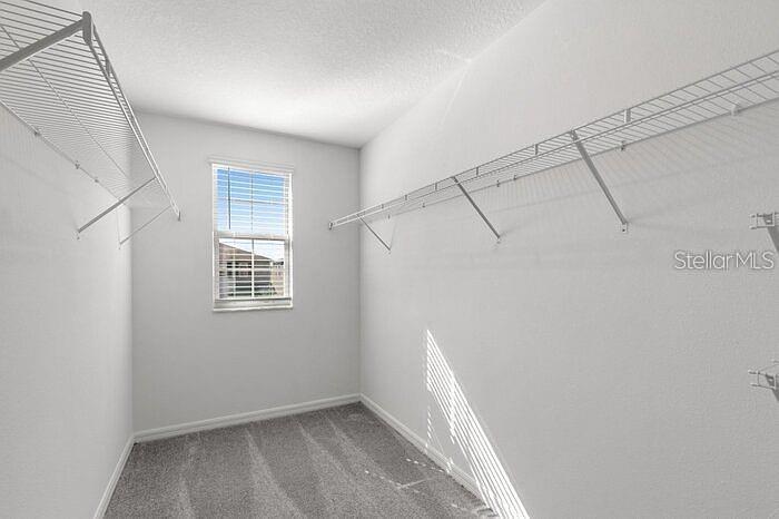 7222 RONNIE GARDEN CT — photo 9