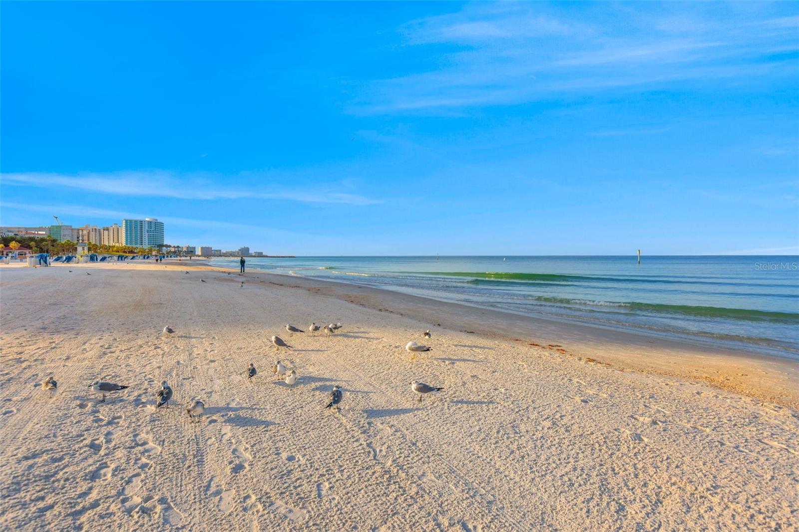 440 S GULFVIEW BLVD #1407 — photo 40