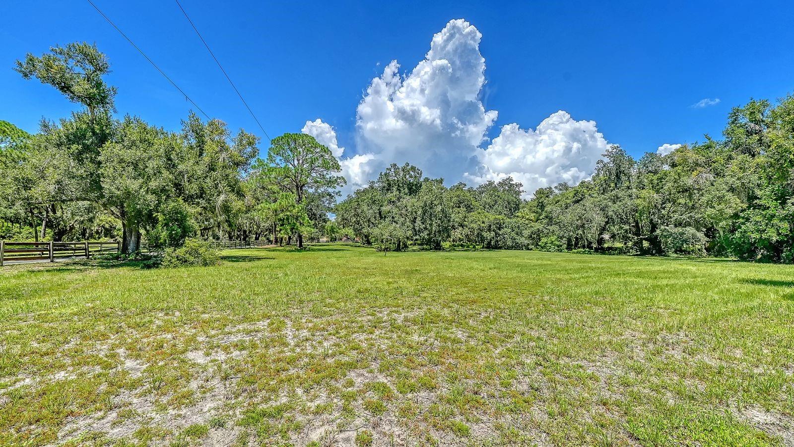 6455 MCKOWN RD — photo 57