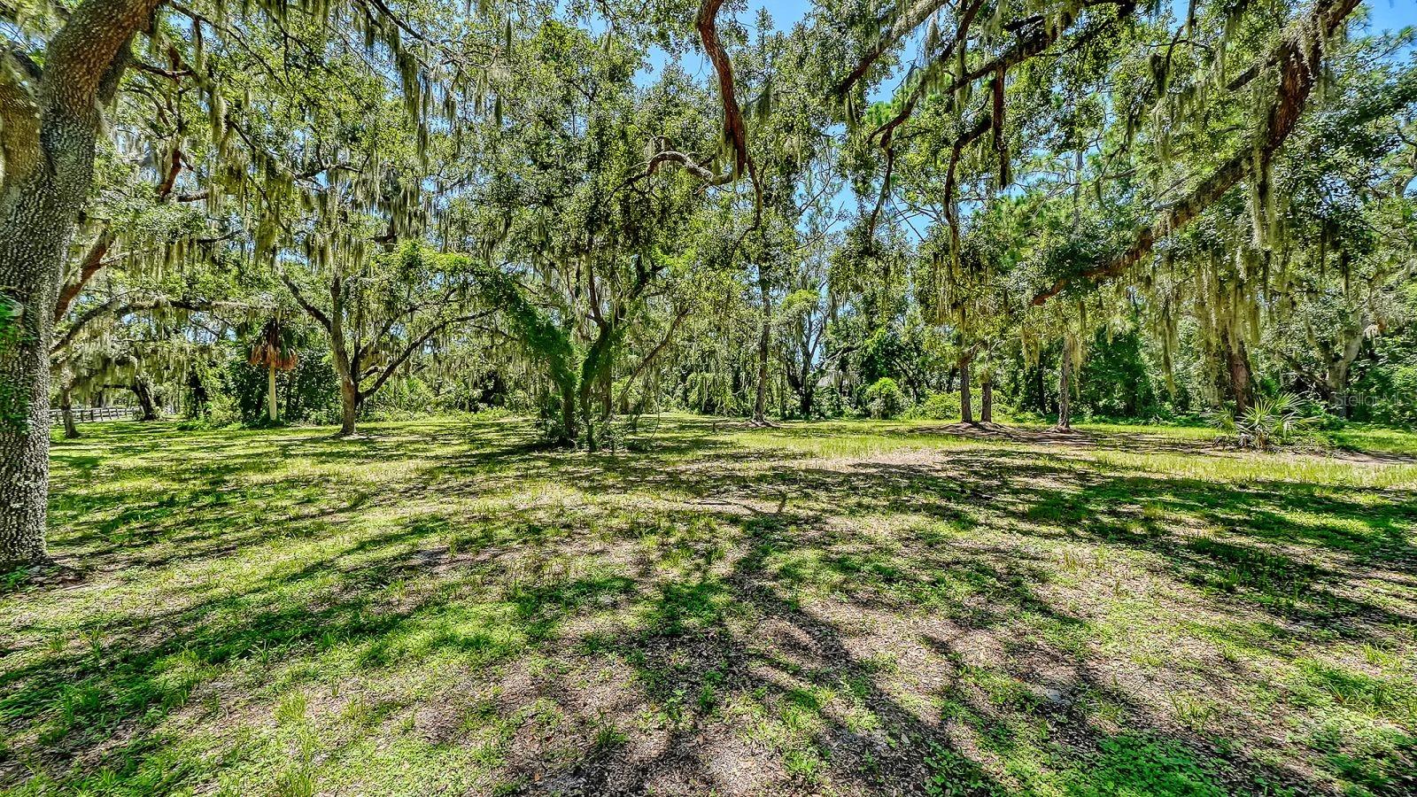 6455 MCKOWN RD — photo 17