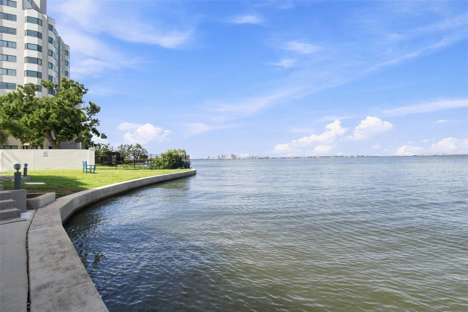 4950 BAYSHORE BLVD #8 — photo 46