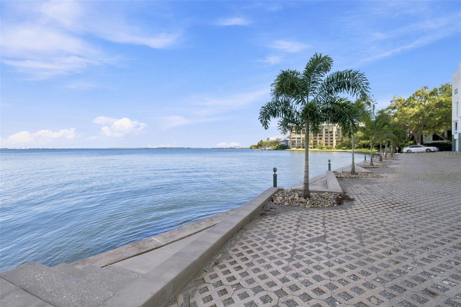 4950 BAYSHORE BLVD #8 — photo 45