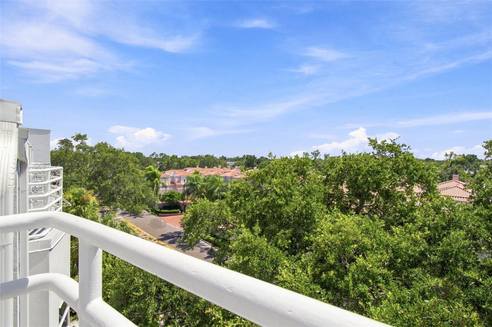 4950 BAYSHORE BLVD #8 — photo 37