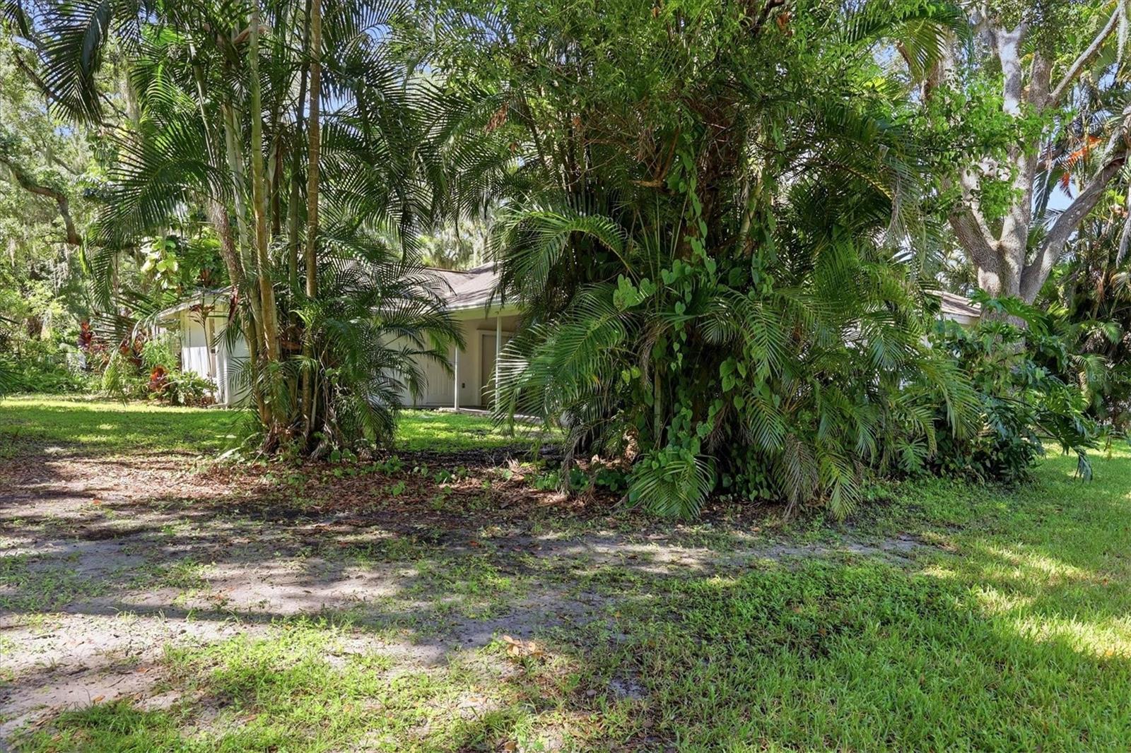 4537 CHIMNEY CREEK DR — photo 34