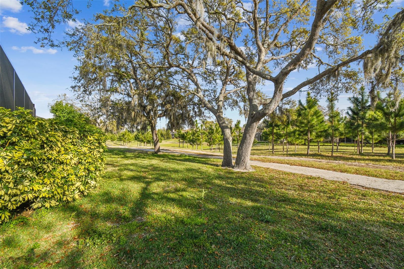 8818 POE DR — photo 59