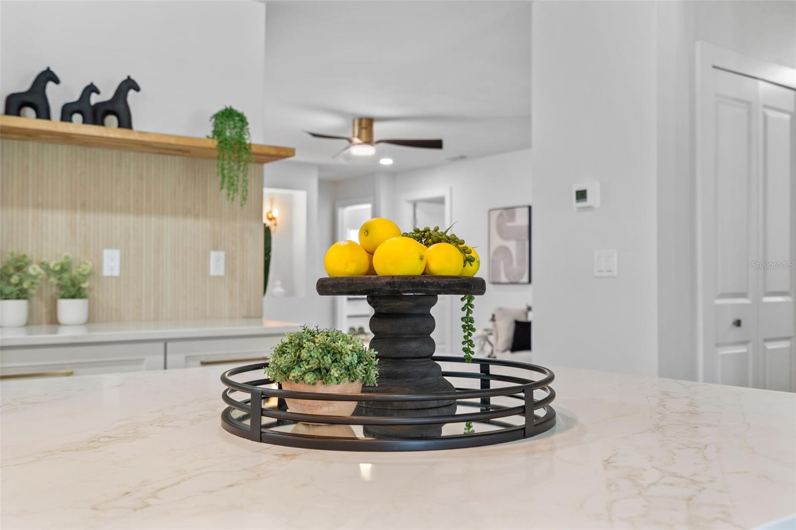 670 VENICE LN — photo 48