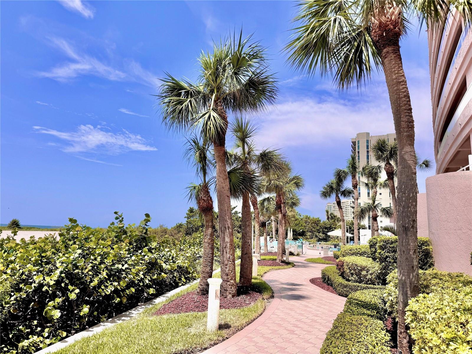 1310 GULF BLVD #18B — photo 63