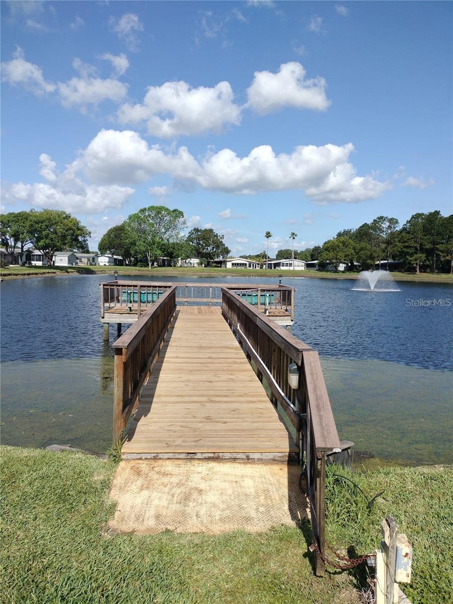 34145 BROWN BAYOU — photo 44