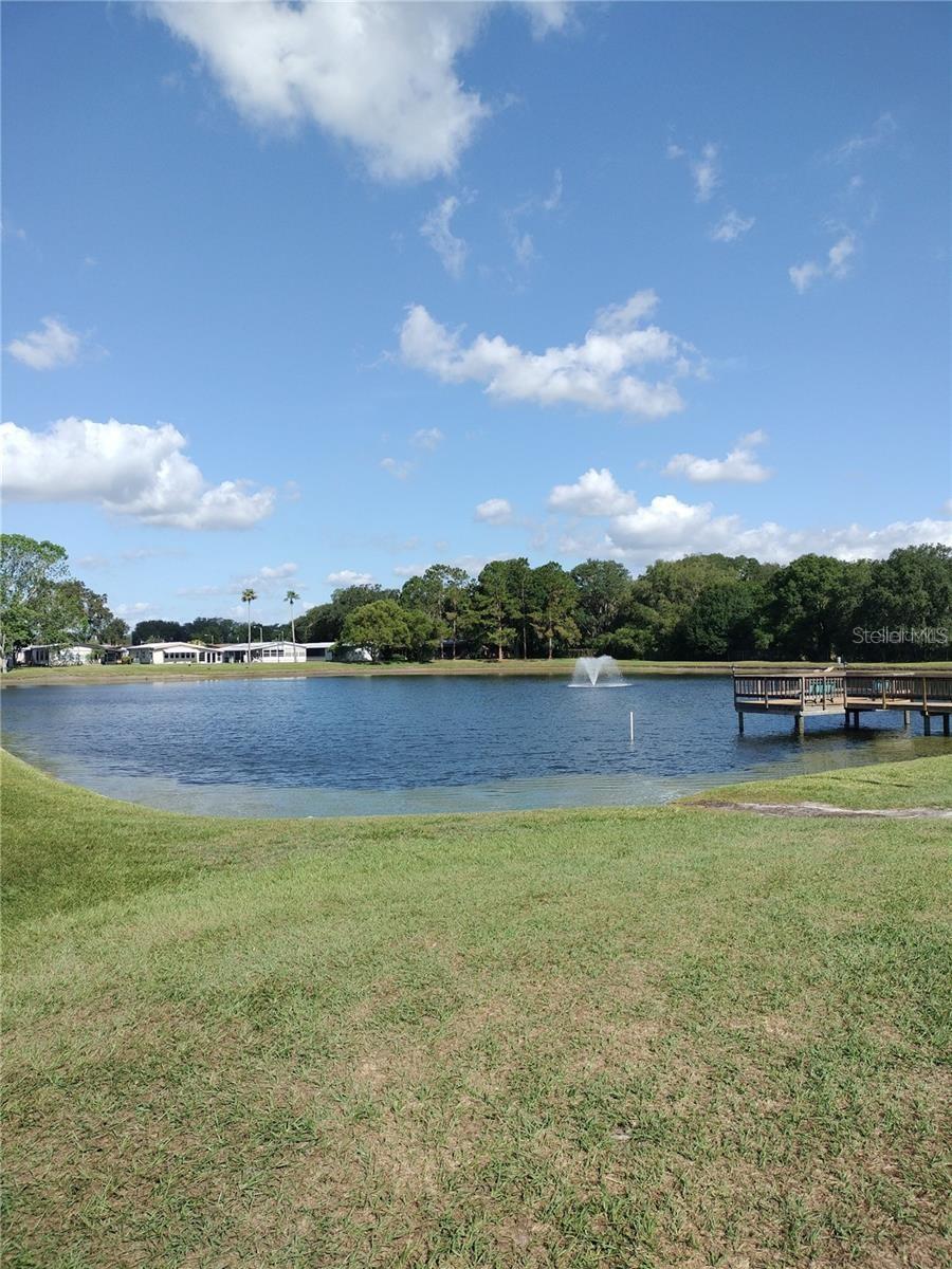 34145 BROWN BAYOU — photo 43