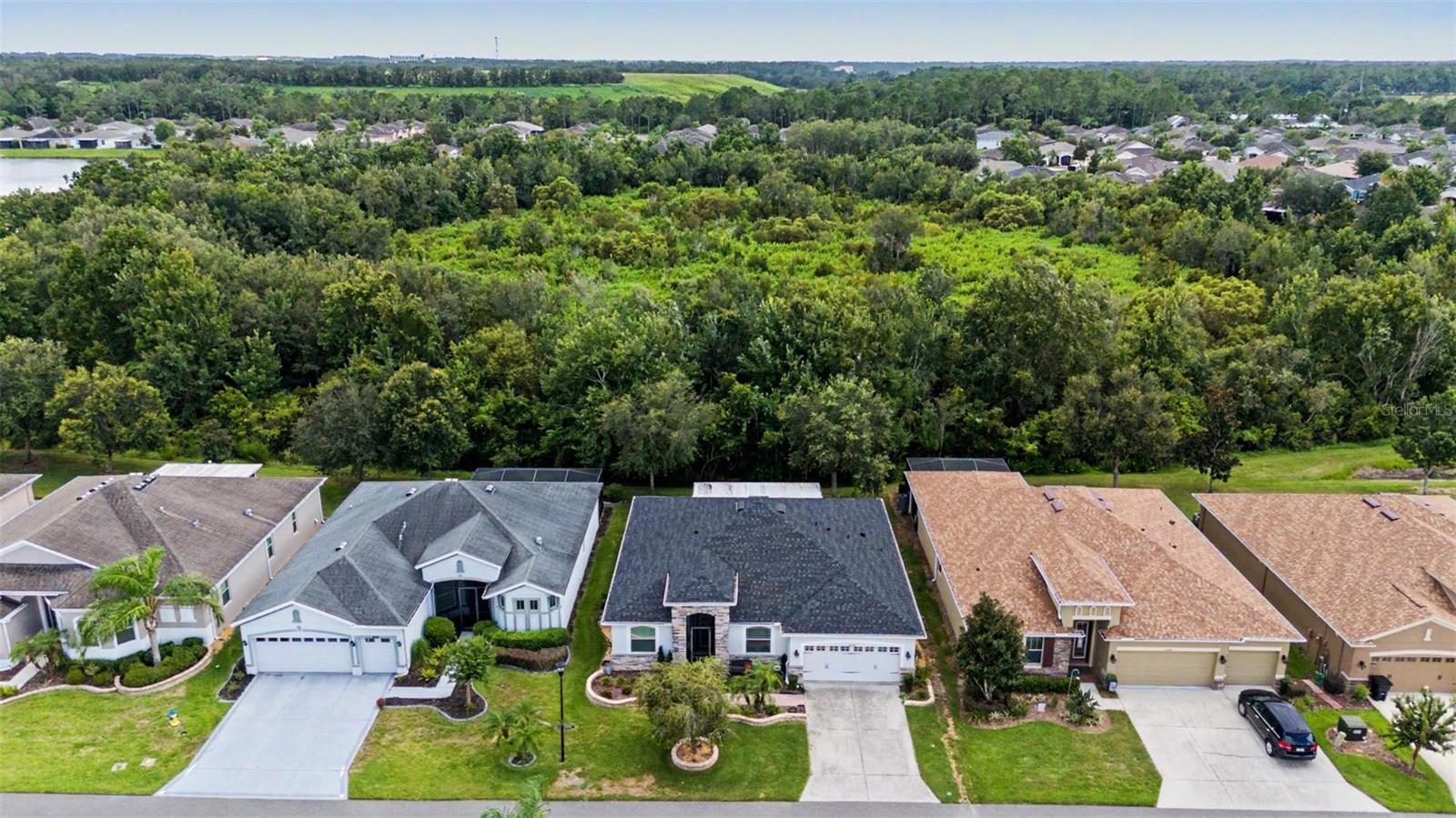 29358 GRASS BUNKER DR — photo 39
