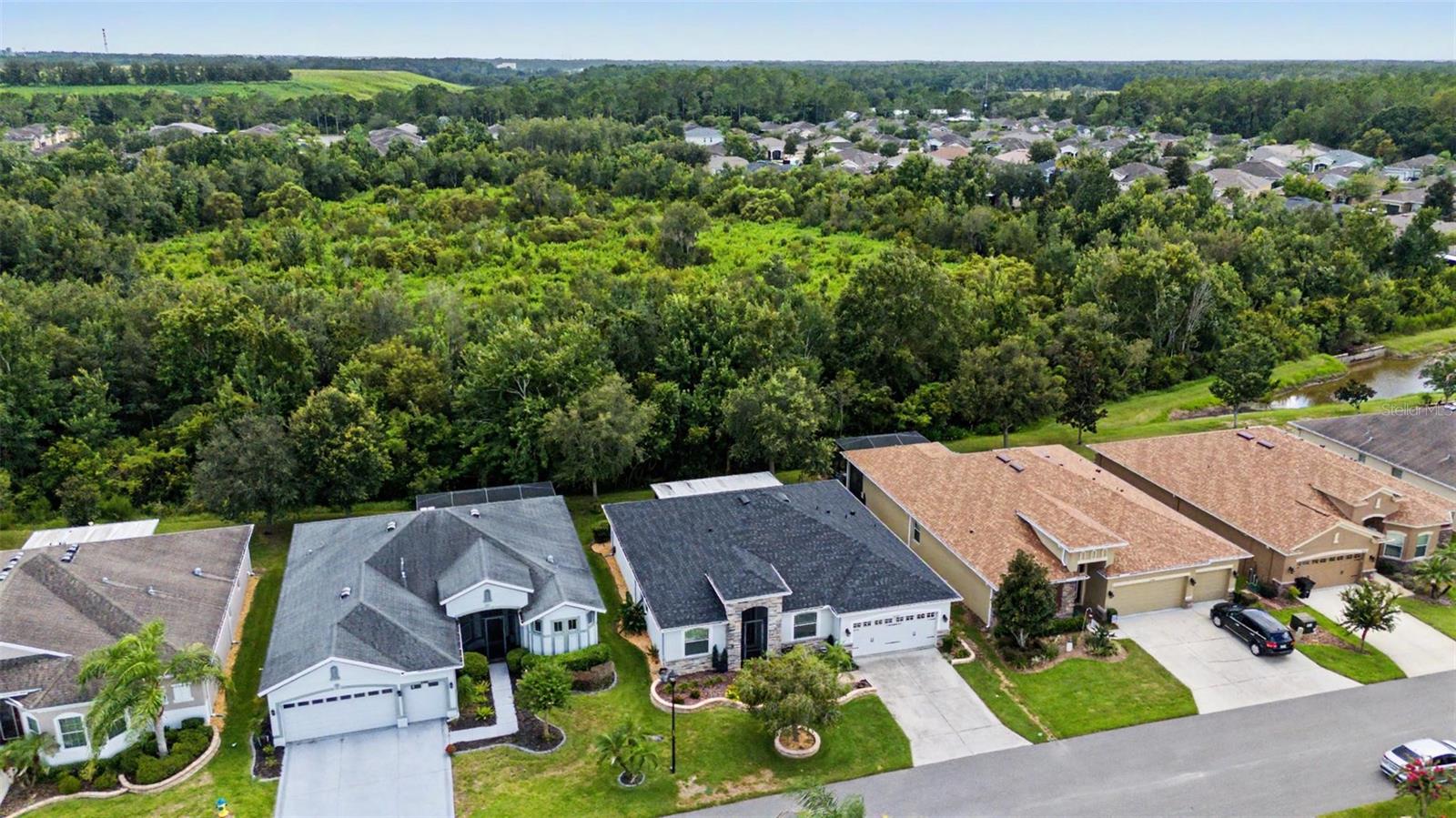 29358 GRASS BUNKER DR — photo 40