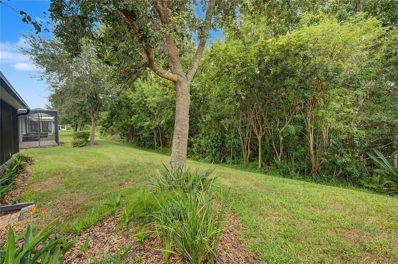 29358 GRASS BUNKER DR — photo 30