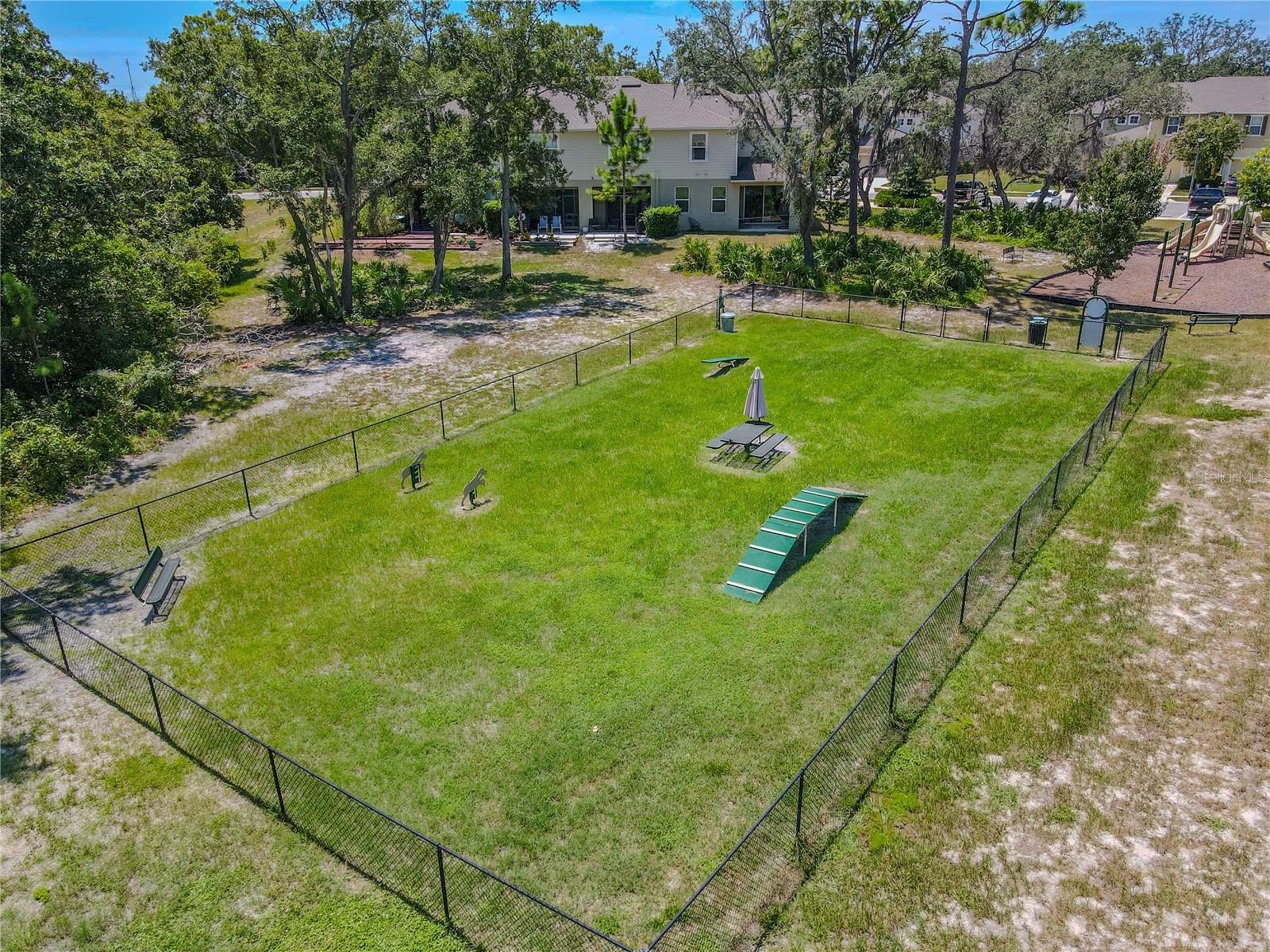 3029 JACOB CROSSING LN — photo 48