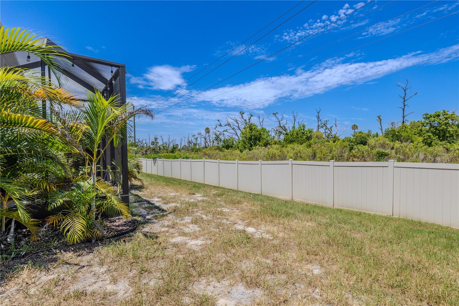 3029 JACOB CROSSING LN — photo 39