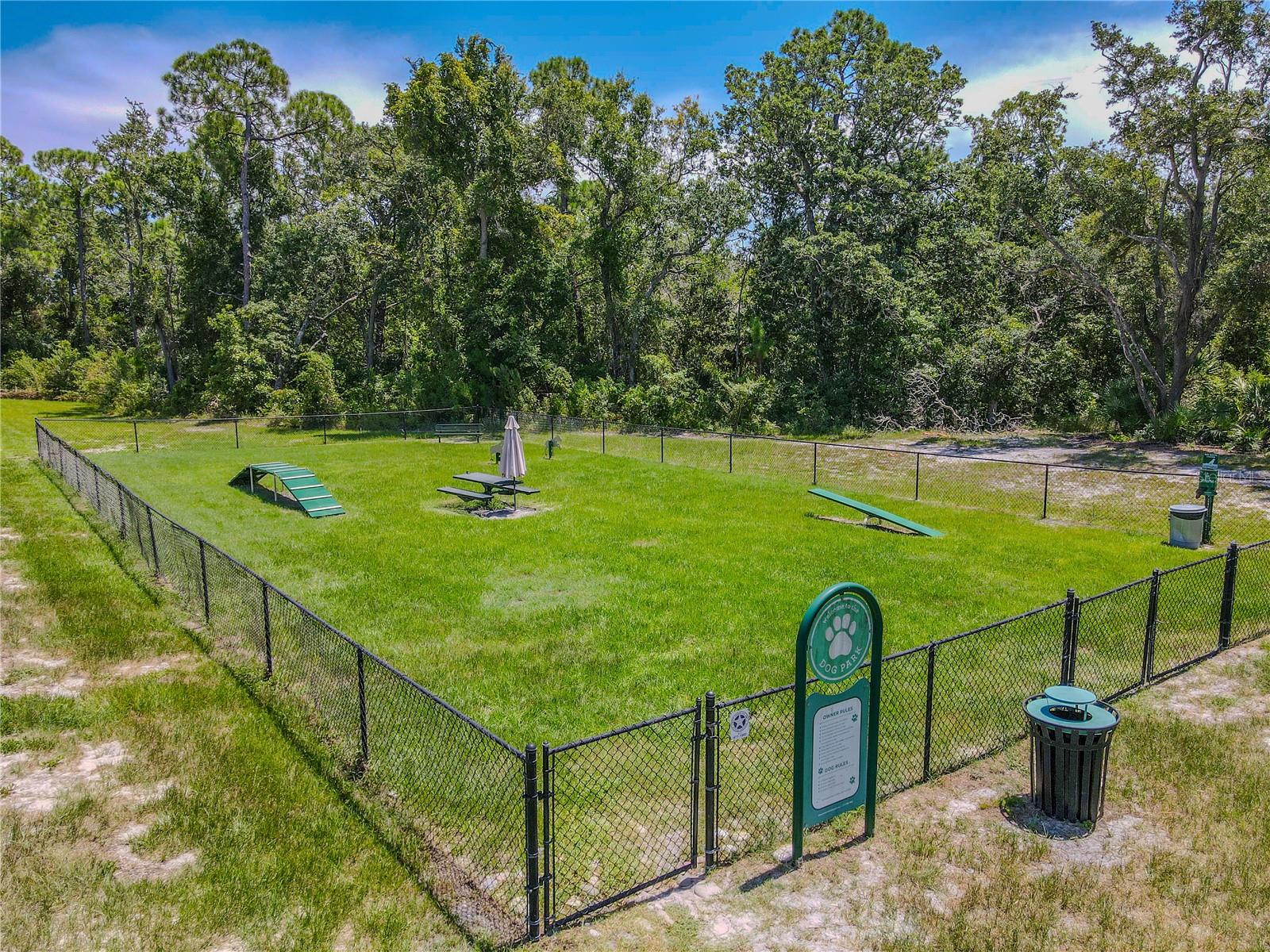3029 JACOB CROSSING LN — photo 47