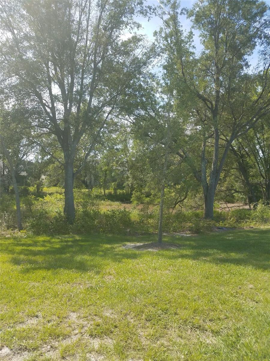 14263 DAMSELFLY DR — photo 40