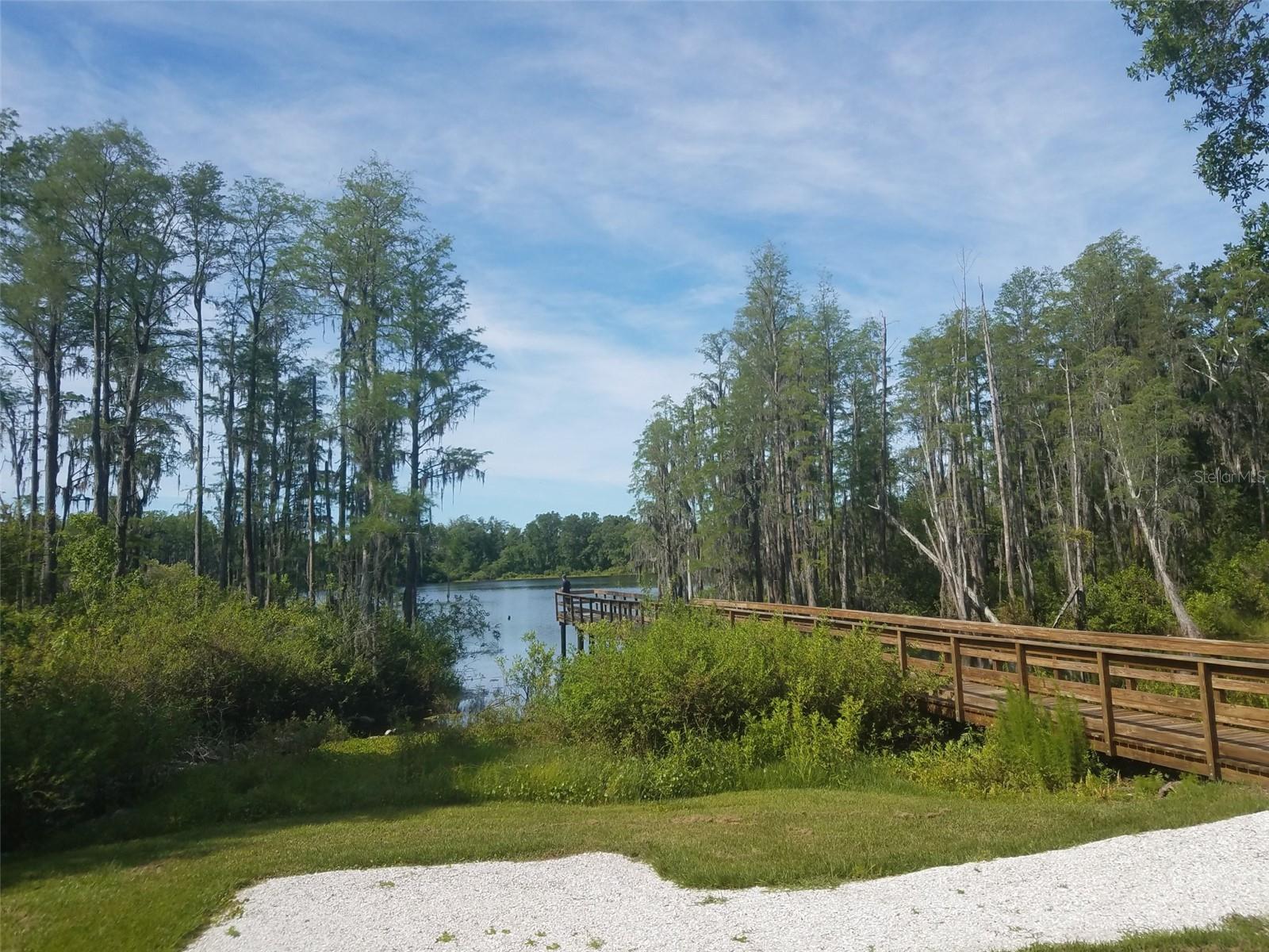14263 DAMSELFLY DR — photo 43