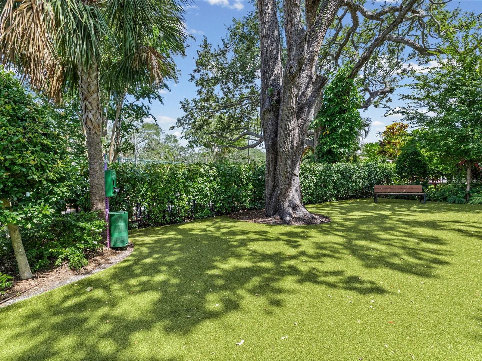 2619 BAYSHORE BLVD #900 — photo 26