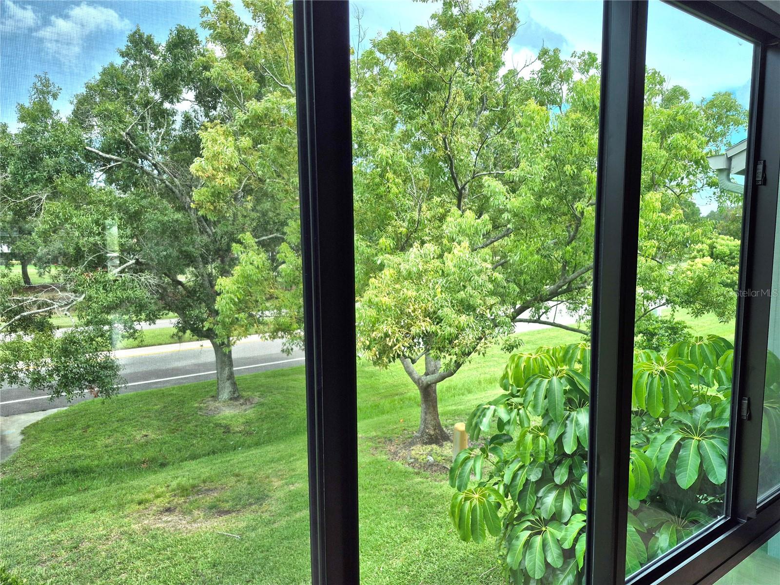 222 CARYL WAY — photo 40