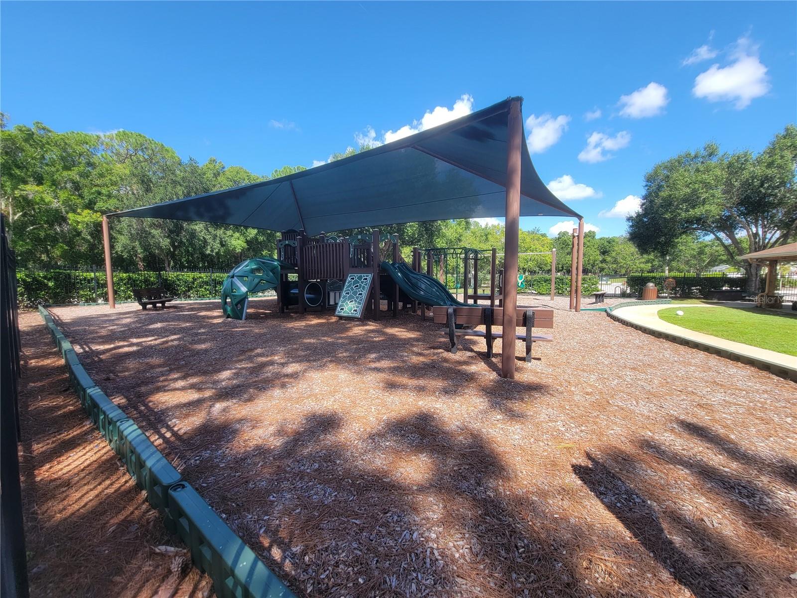 15611 SHOAL CREEK PL — photo 61