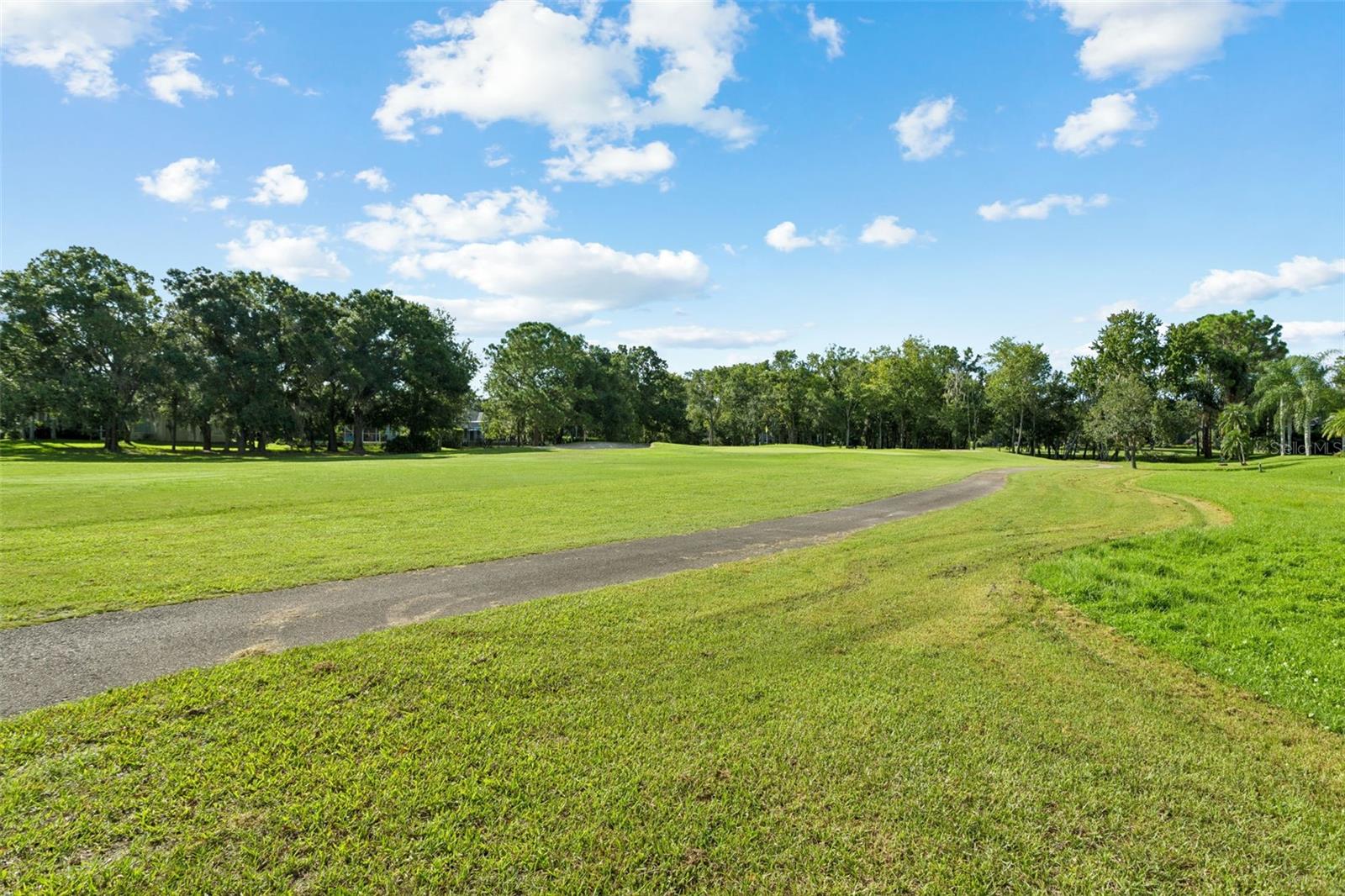 15611 SHOAL CREEK PL — photo 51
