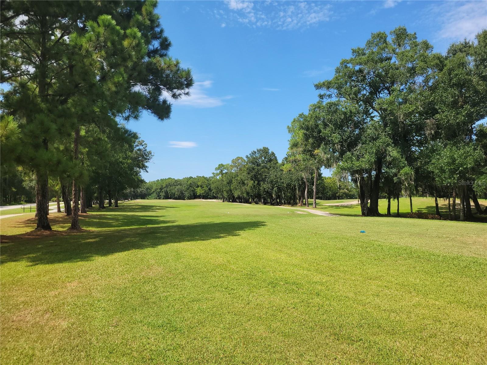 15611 SHOAL CREEK PL — photo 71