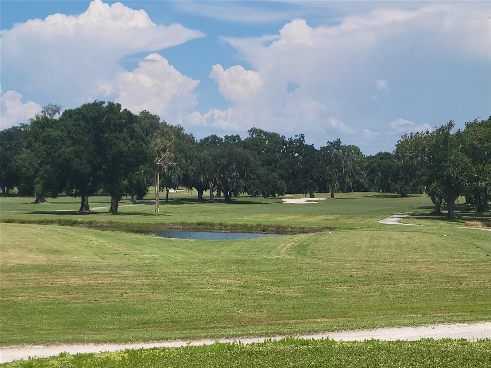 15611 SHOAL CREEK PL — photo 70