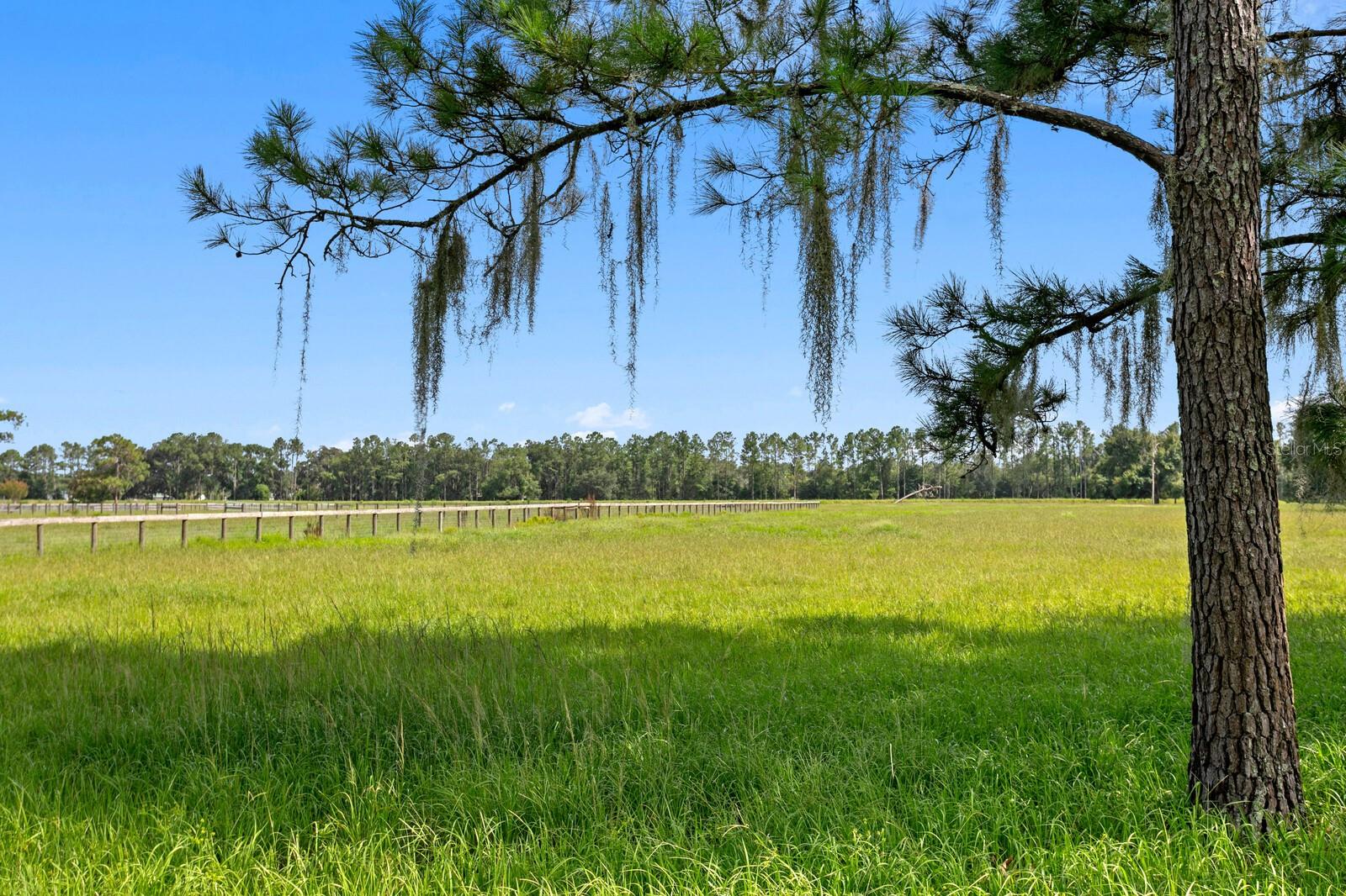 7850 FOUR PINES RD — photo 85