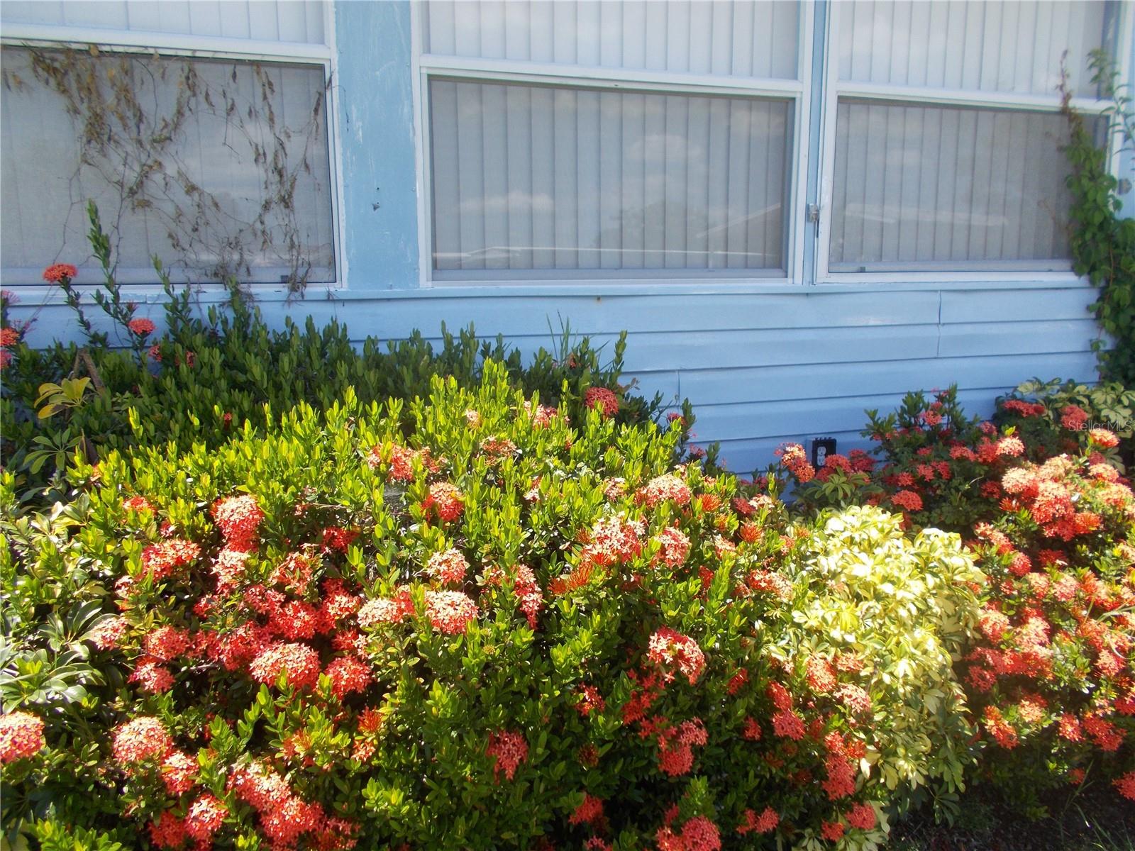 6432 KEENA CT — photo 41