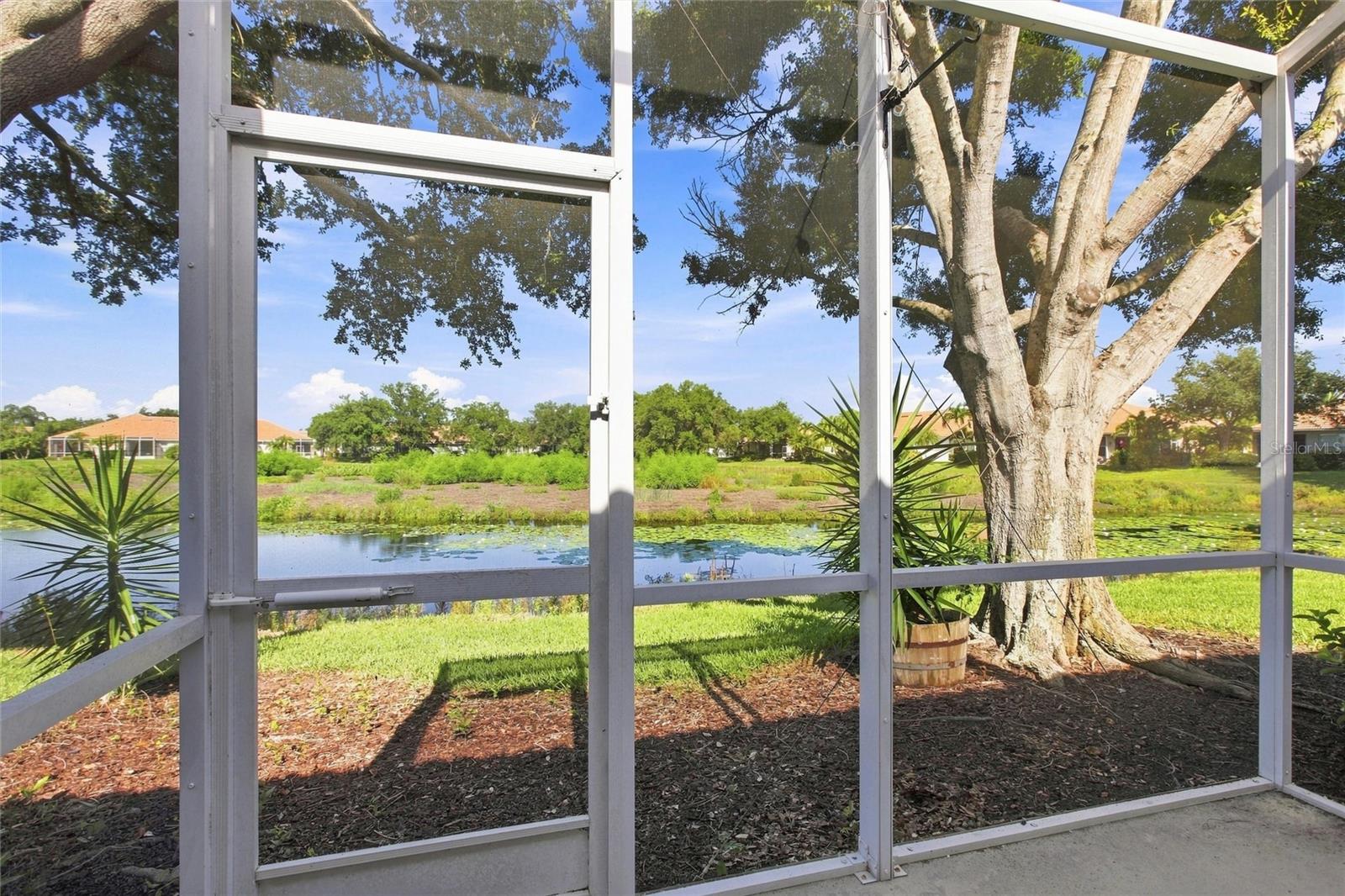 1814 SAN SILVESTRO DR — photo 35