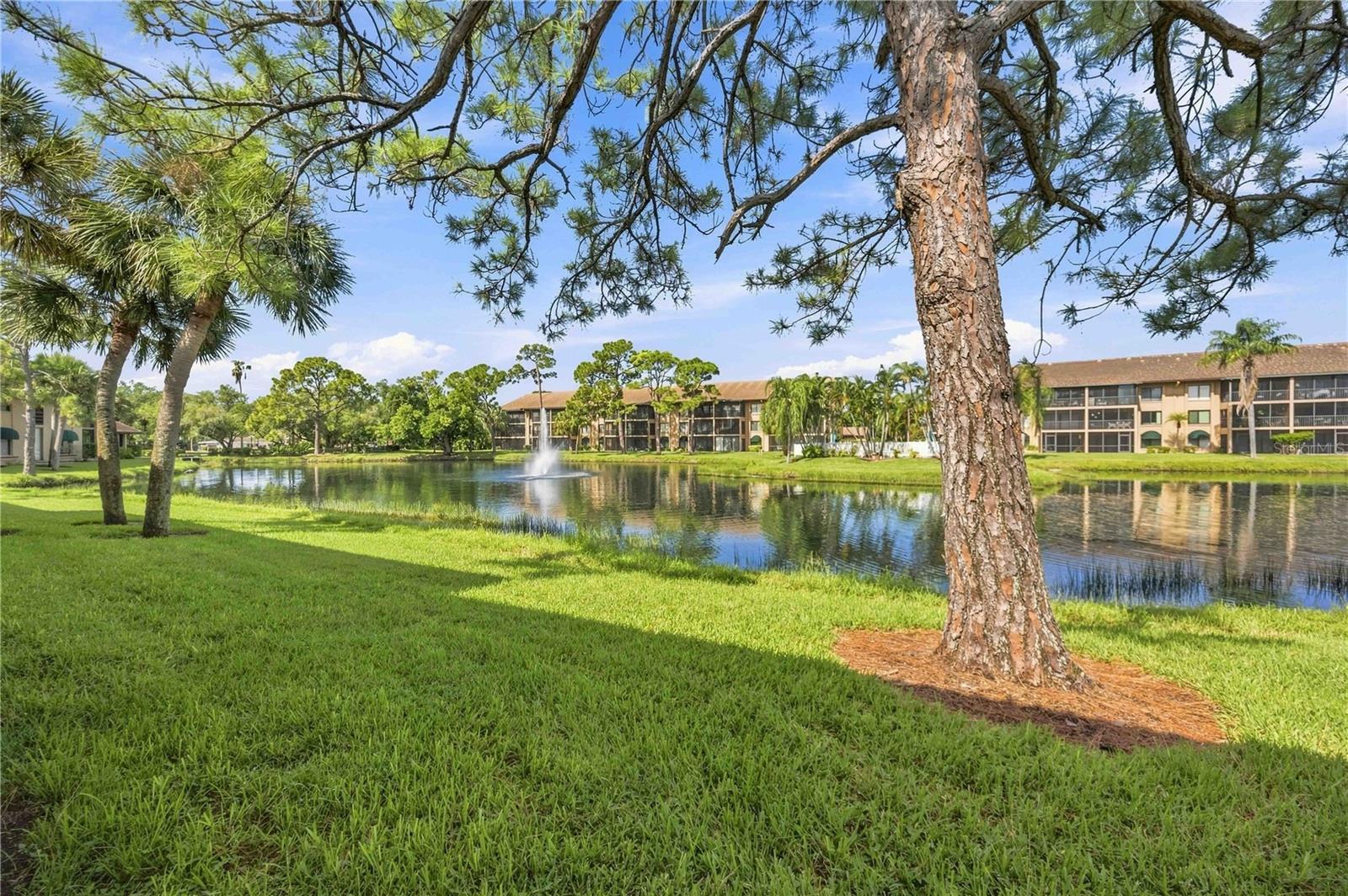 5726 ASHTON LAKE DR #11 — photo 42
