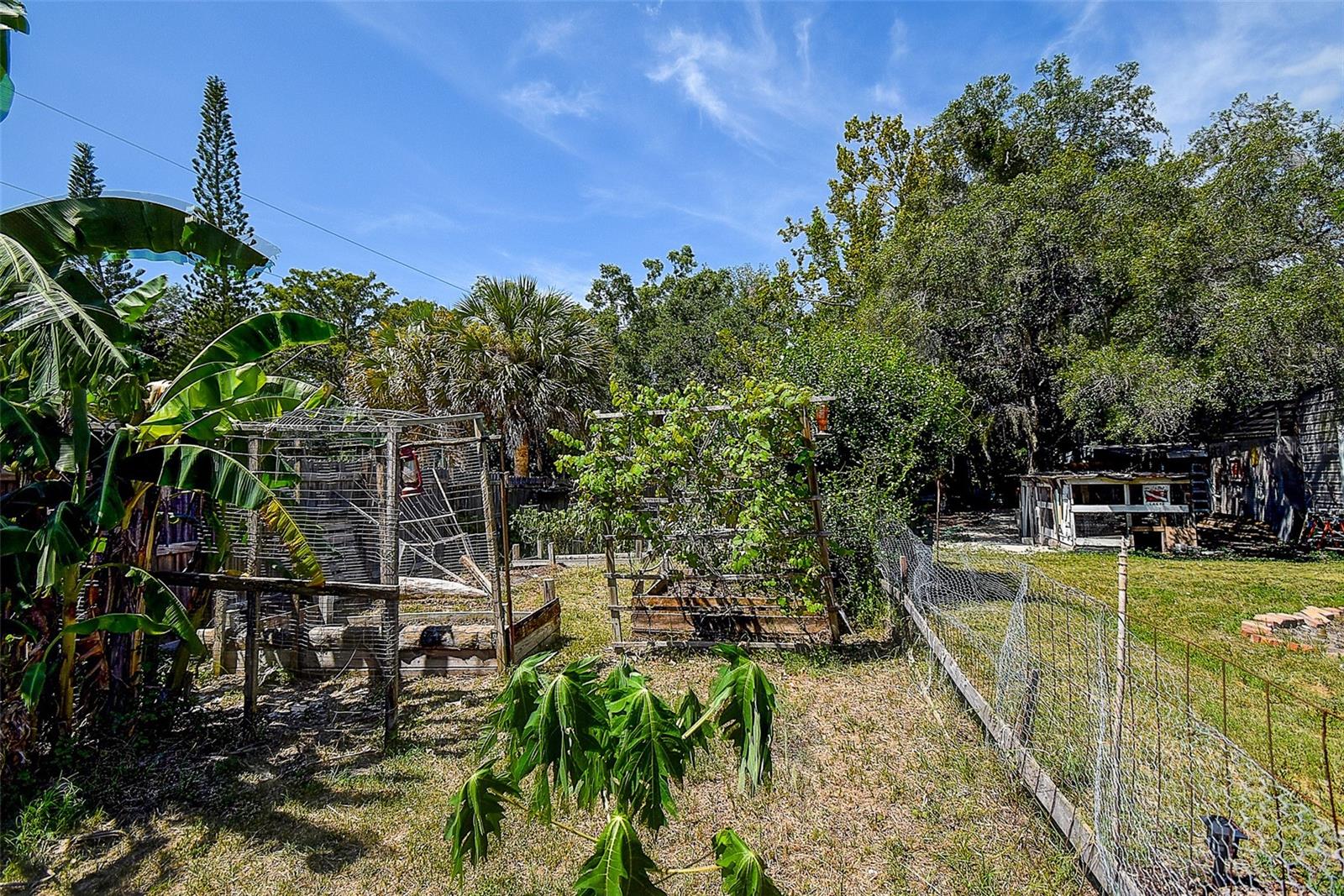 7033 CREEK DR — photo 49