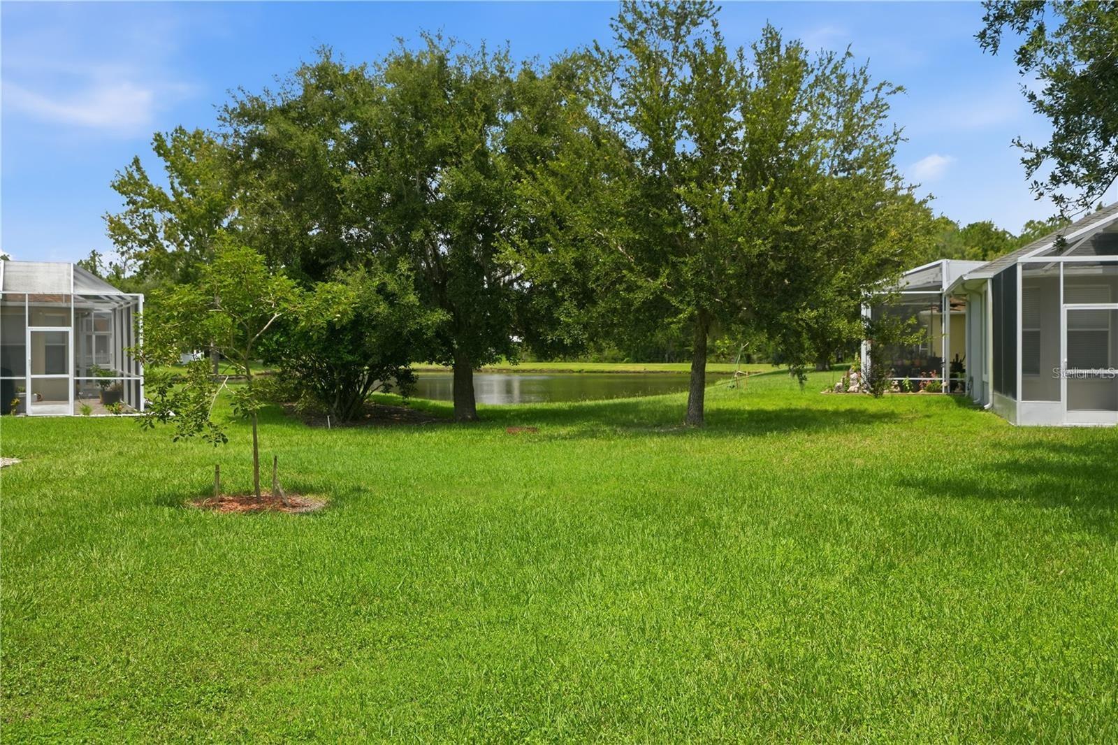 27325 MISTFLOWER DR — photo 32