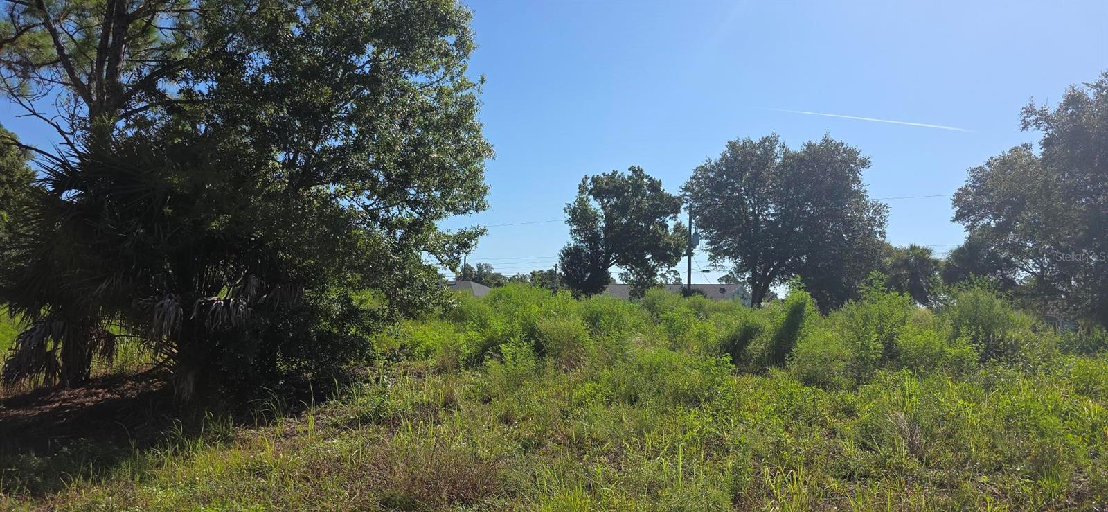 CHAMRADE RD — photo 3