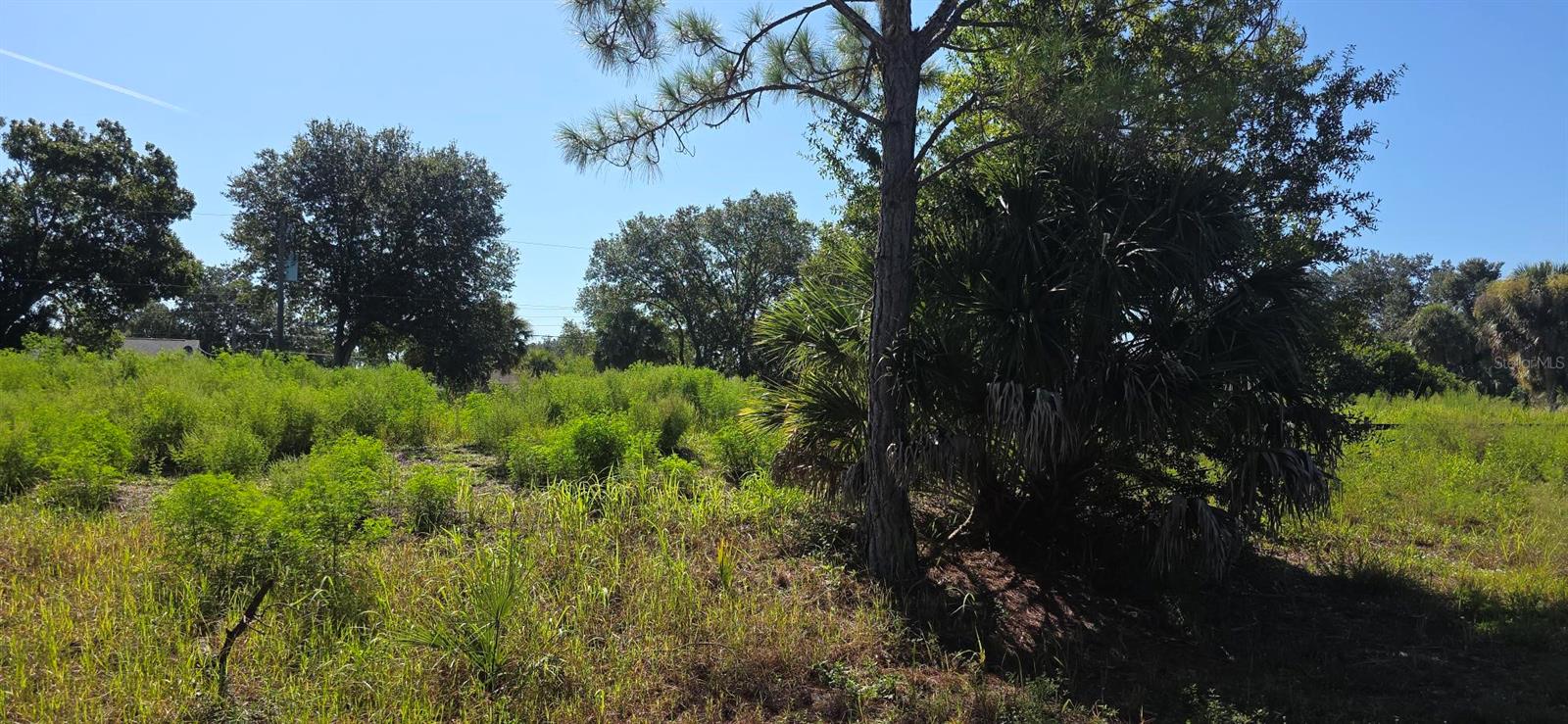 CHAMRADE RD — photo 4