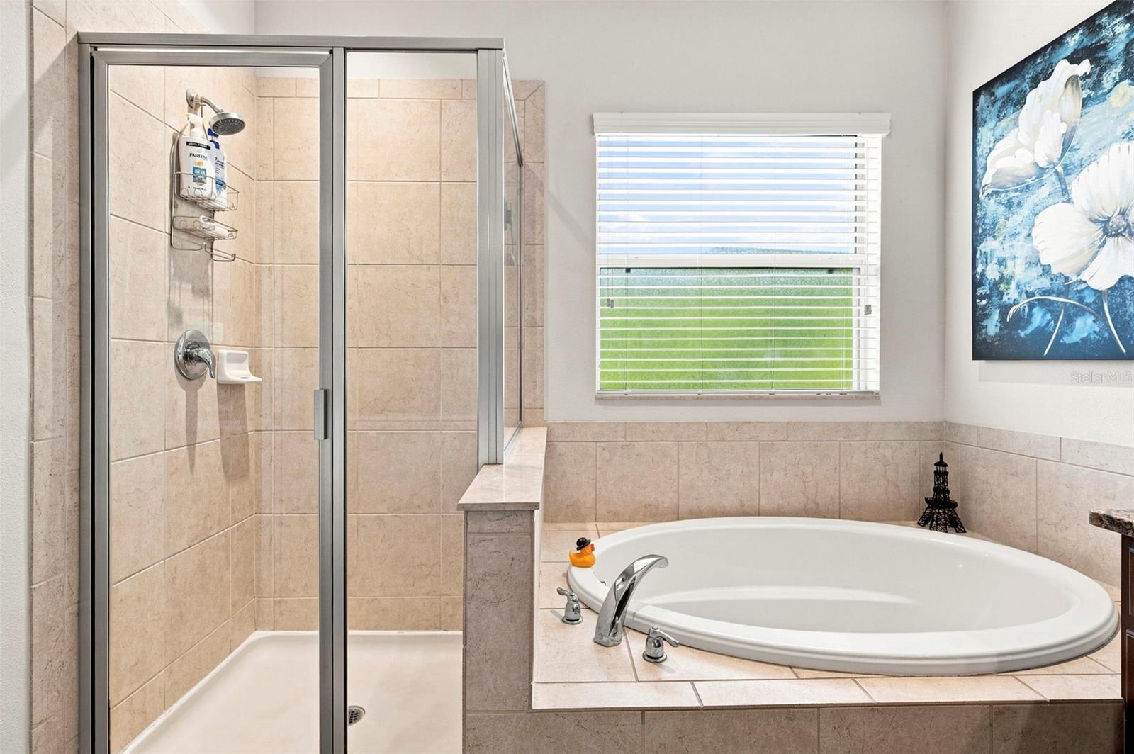 11245 BELLE HAVEN DR — photo 42