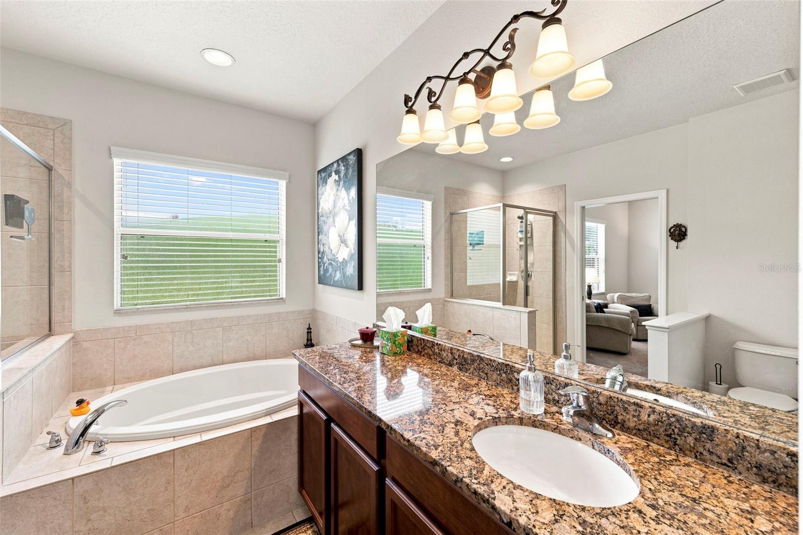 11245 BELLE HAVEN DR — photo 40